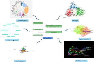 Bibliometric study on the knowledge graph of immunotherapy for head and neck cancer